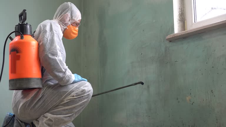 Best Biohazard Mold Removal  in Millville, NJ